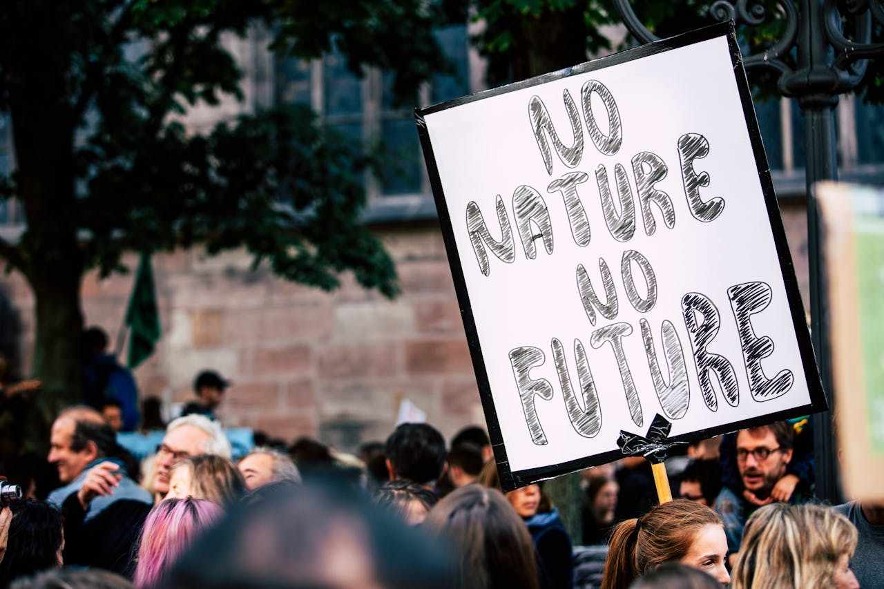 Selon une étude, plus les écologistes sont riches et plus ils polluent