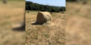 boule abimee