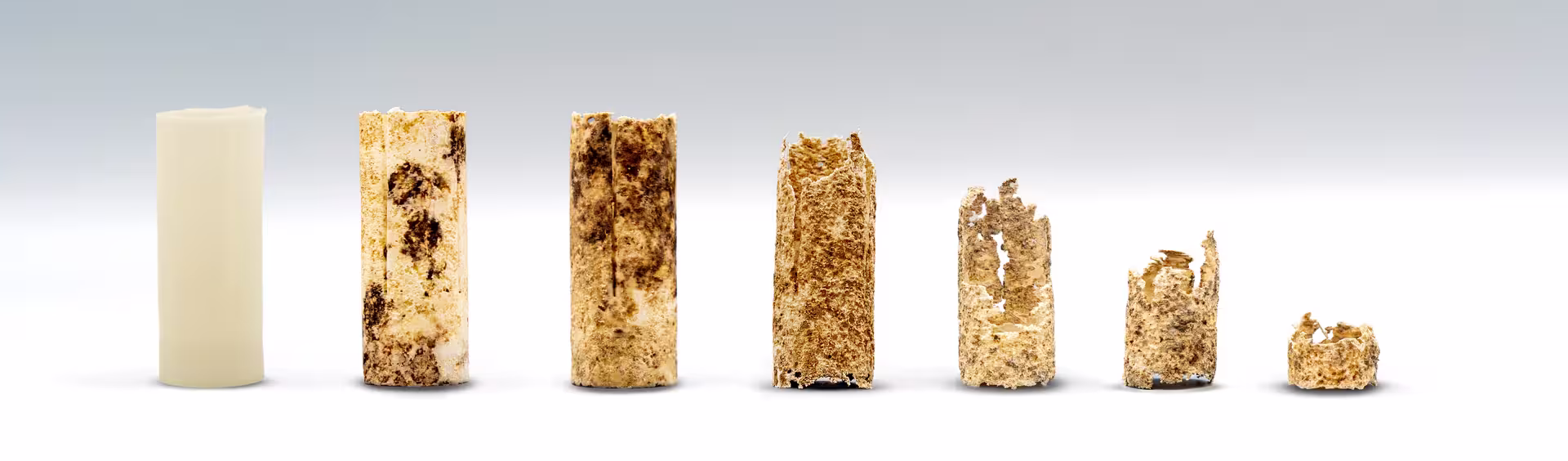 Solognac lance une nouvelle gamme de cartouches à bourre biodégradable