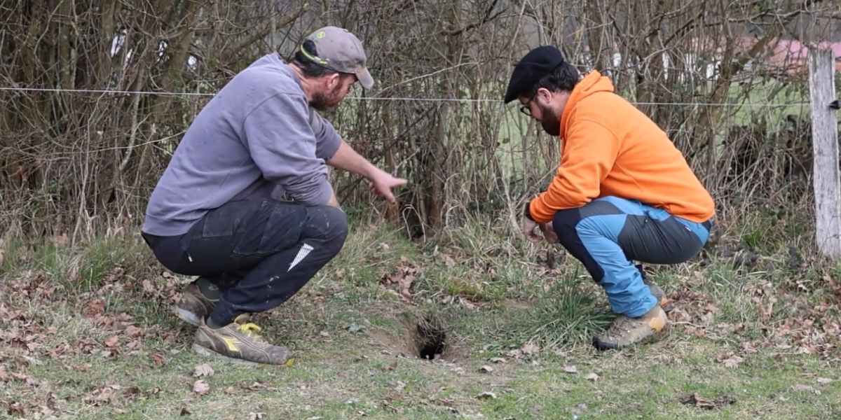 [Vidéo] Quel est le rôle précis des chasseurs et des piégeurs vis à vis des espèces ESOD