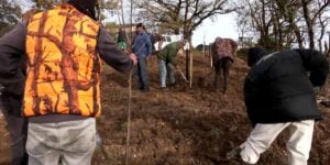 ilot de biodiversite
