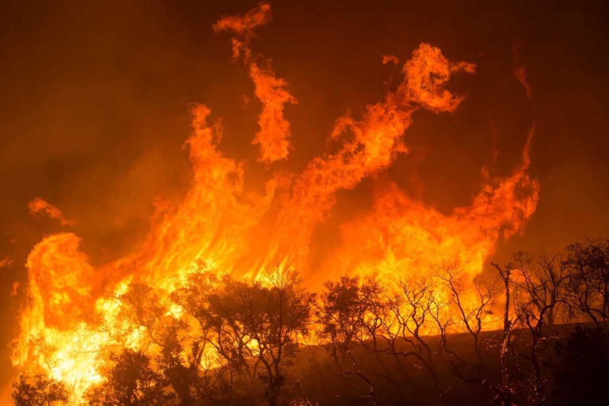 Incendies et chasse : pendant que certains s&rsquo;agitent d&rsquo;autres agissent!