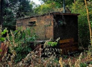 Palombières au filet : une tradition menacée