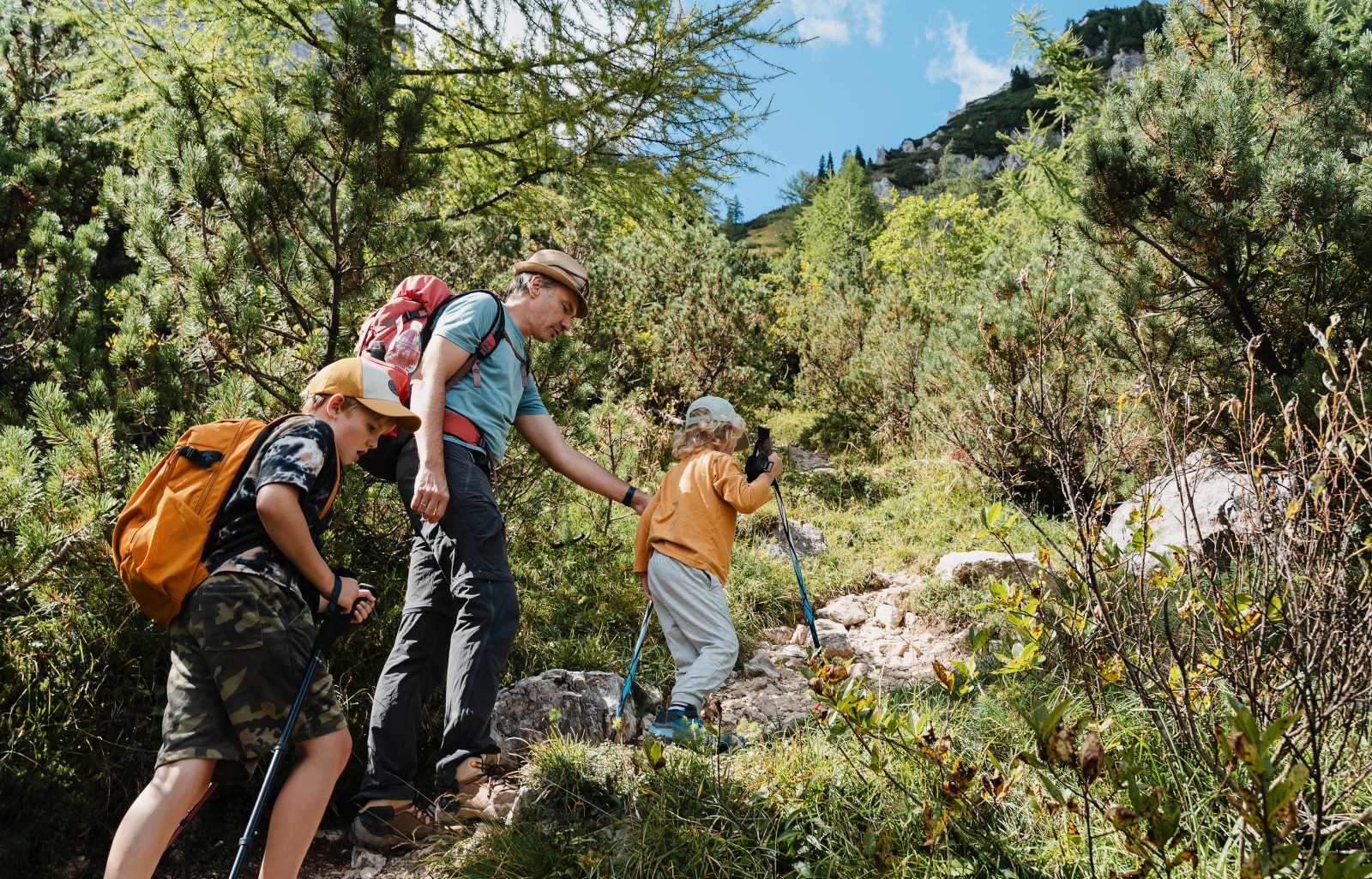 Randonnée en montagne : pourquoi la rencontre entre les chiens des promeneurs et les patous est de plus en plus compliqué