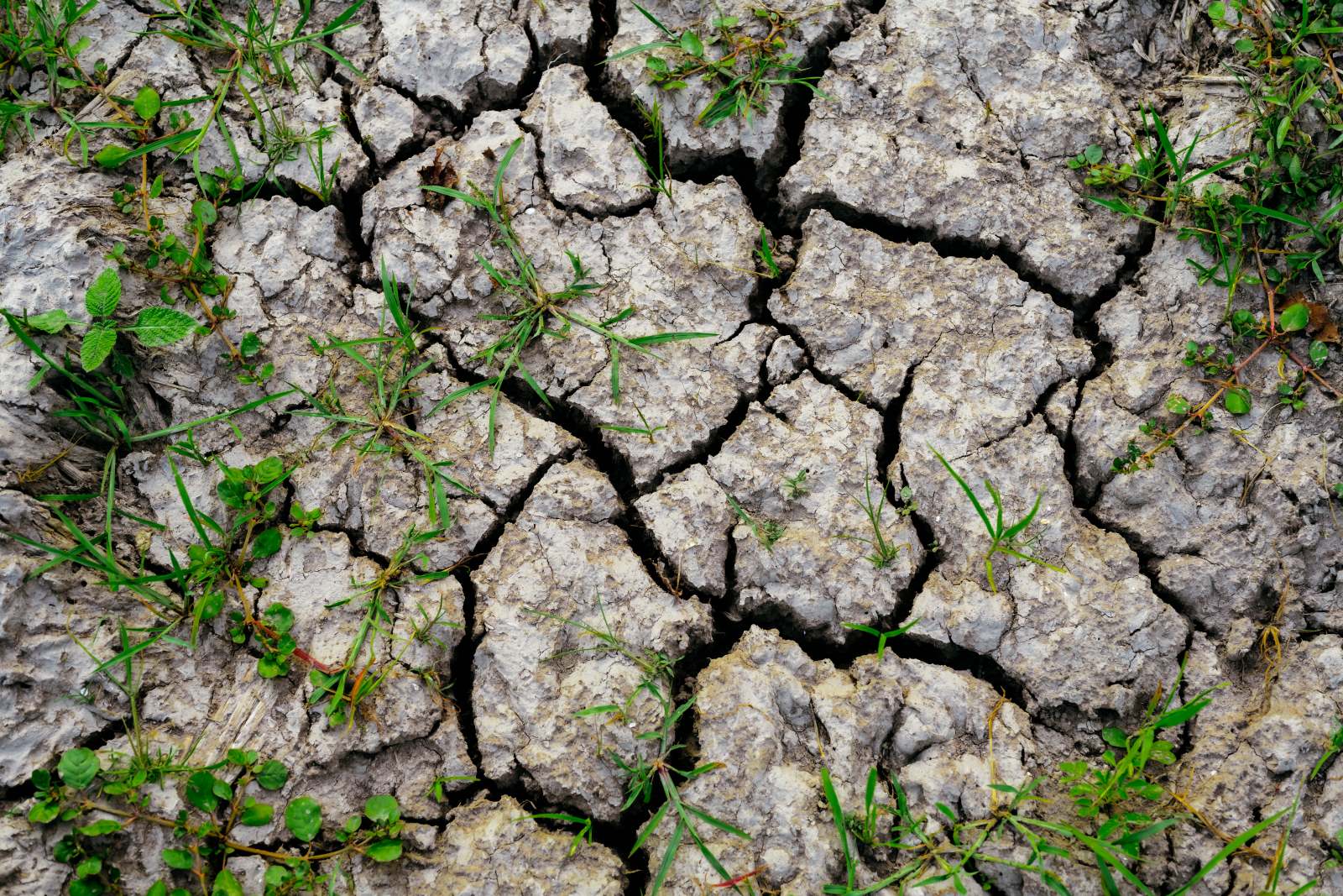 Restrictions d’eau : 92 départements concernés par des limitations sur au moins un usage de l’eau.
