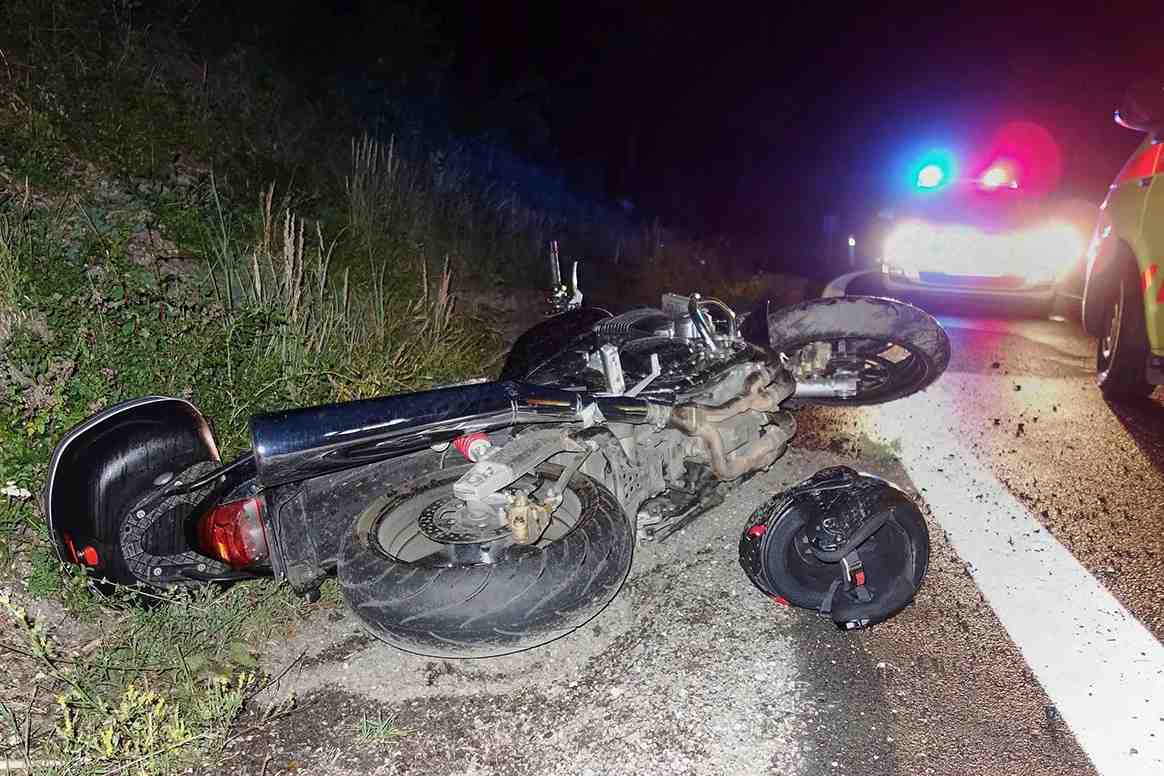 Un motard percuté de plein fouet par un sanglier près de Rocroi dans les Ardennes