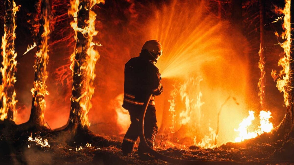 Incendies de juillet 2026 : ces 10 actions concrètes menées par les chasseurs pour aider les secours