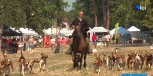 fr3 fete de la chasse