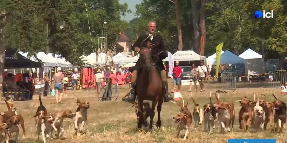 [VIDÉO] Les caméras de France 3 présentes à la Grande Fête Chasse & Campagne au Château de Bresse-sur-Grosne
