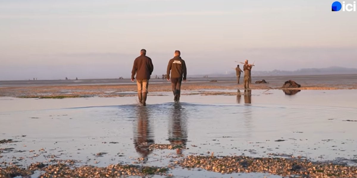 [Vidéo] L&rsquo;ouverture du gibier d&rsquo;eau dans la Somme fait réagir sur France 3