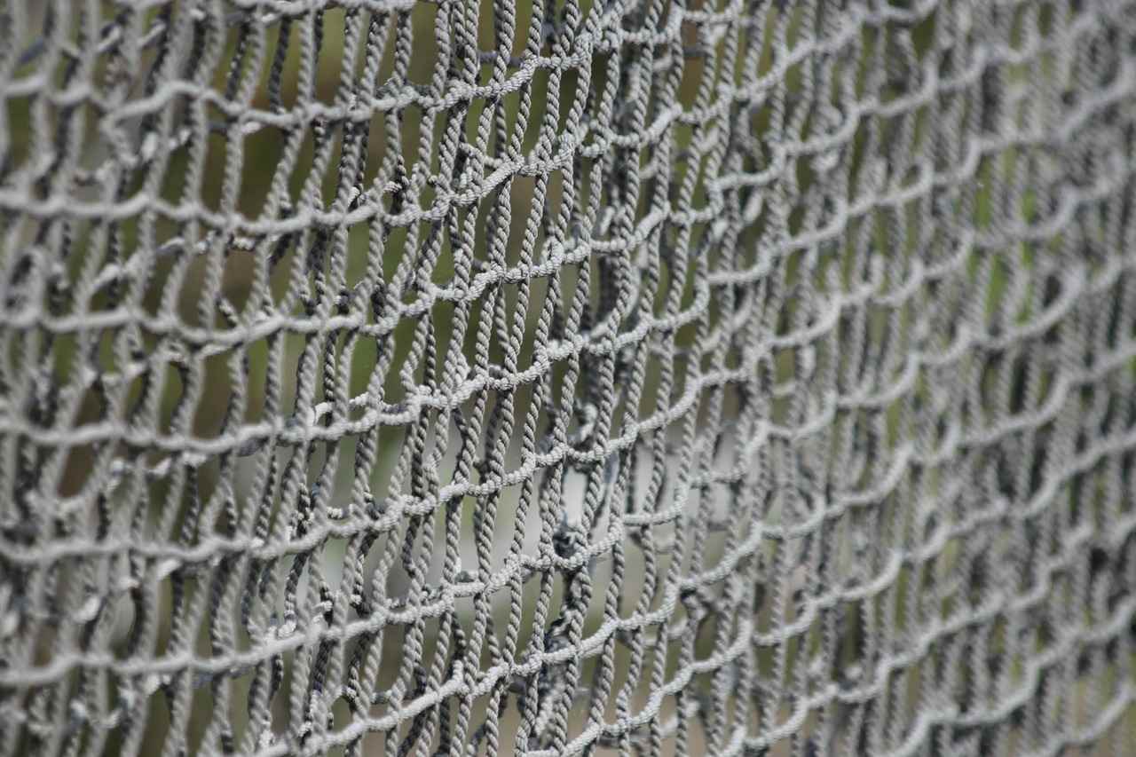 Sur les bords de l&rsquo;A61 à Toulouse, les chasseurs vont capturer des sangliers aux filets