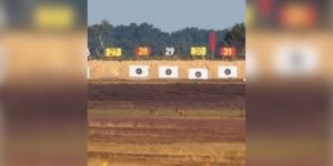 cervides tir longue distance