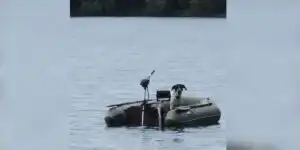 chien-bateau-peche