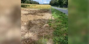 cloture degradee oise