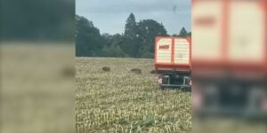 compagnie ensilage