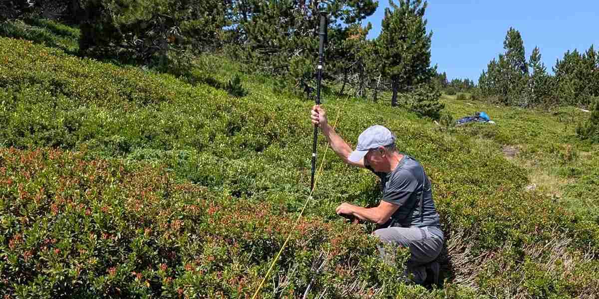 Dans l’Aude, la Fédération des Chasseurs étudie les nids de perdrix grise des Pyrénées