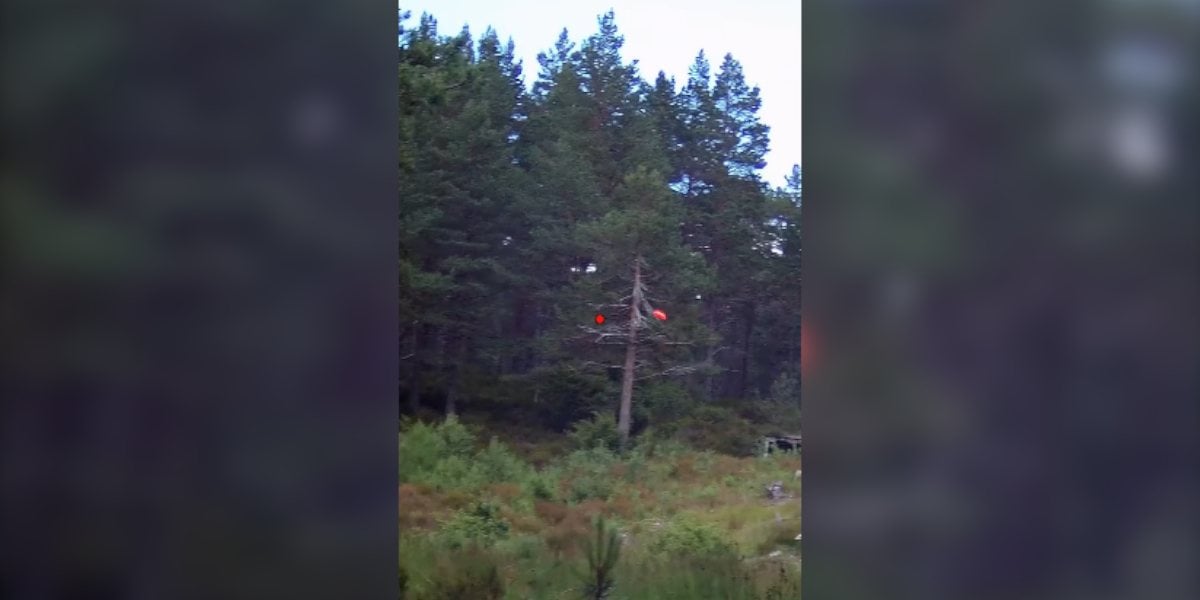 [Vidéo] Suivre les trajectoires de plateaux en Shotkam