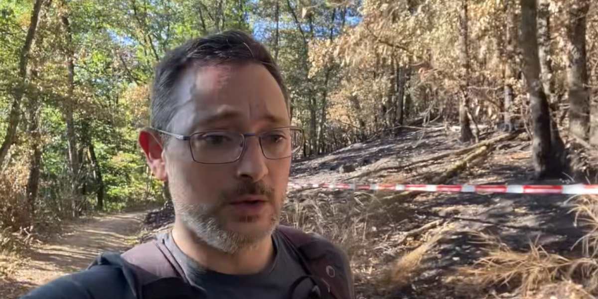 [Vidéo] Promenade en forêt : faut-il vraiment redouter le jour de l&rsquo;ouverture de la chasse ?