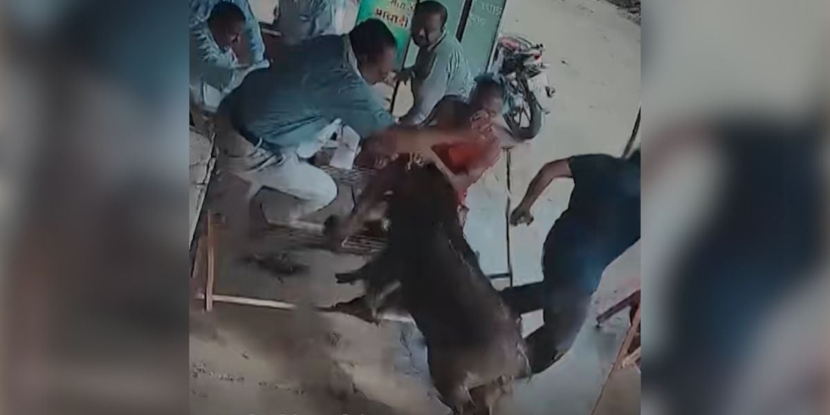 [Vidéo] Un sanglier percute violemment plusieurs personnes qui prenaient le thé en Inde