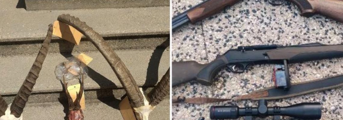 6 braconniers arrêtés dans la Drôme