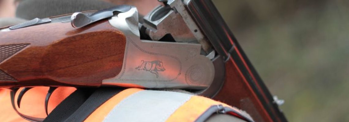 Arme-chasse