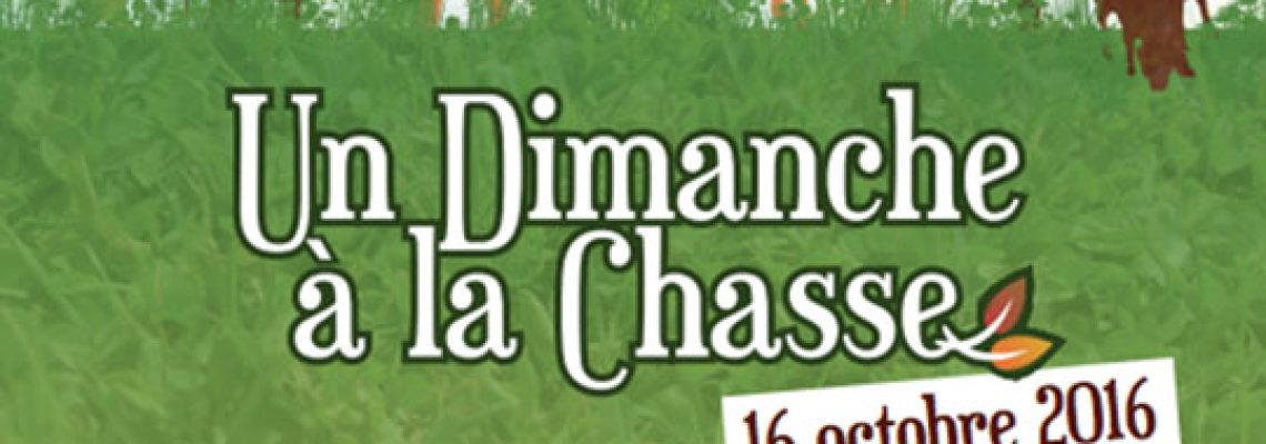 DP-undimanchealachasse
