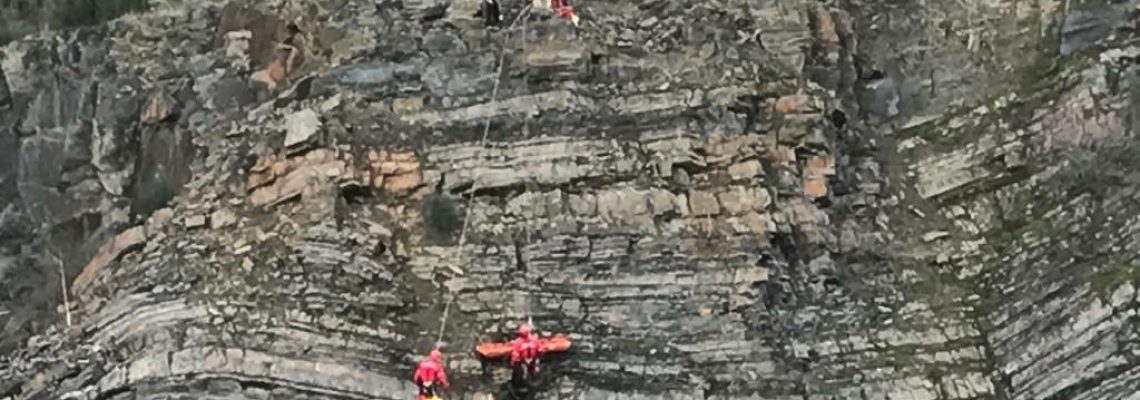 2 chiens de chasse sauvés par les pompiers