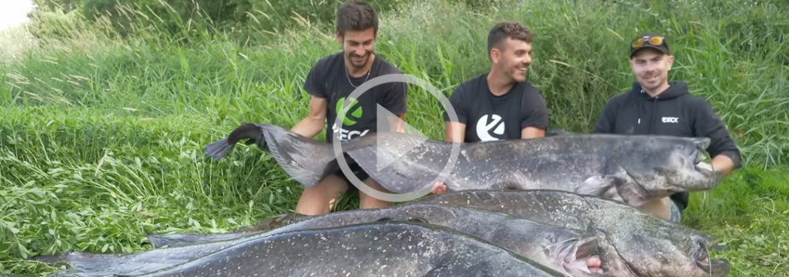 France 3 a suivi des pêcheurs de silures sur la Loire