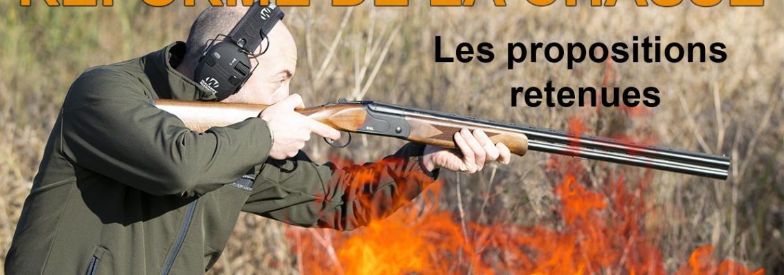 réforme de la chasse