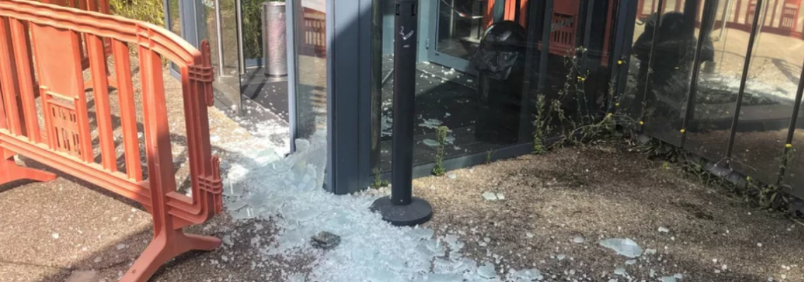 sanglier casse la porte de la piscine dans le cher