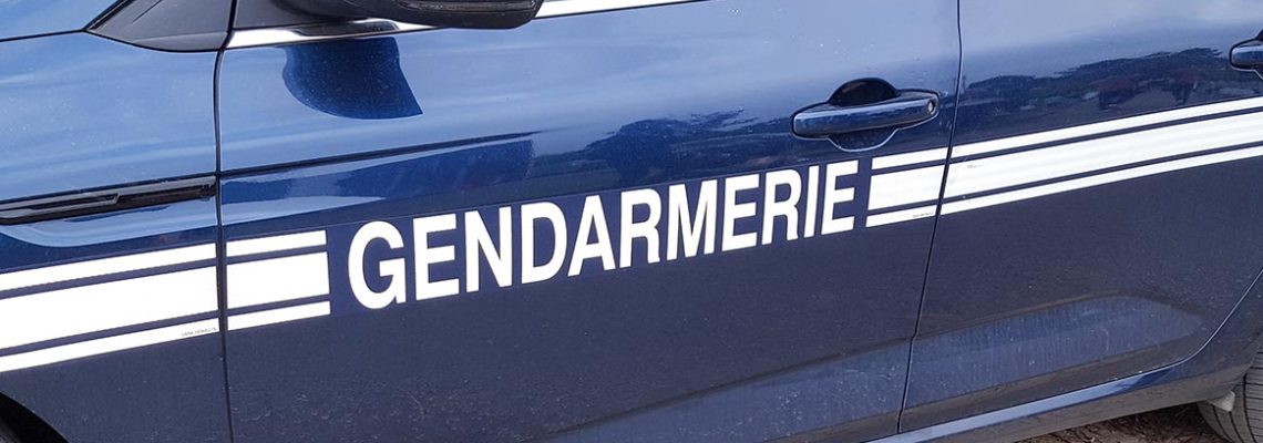 accident-sanglier-gendarme