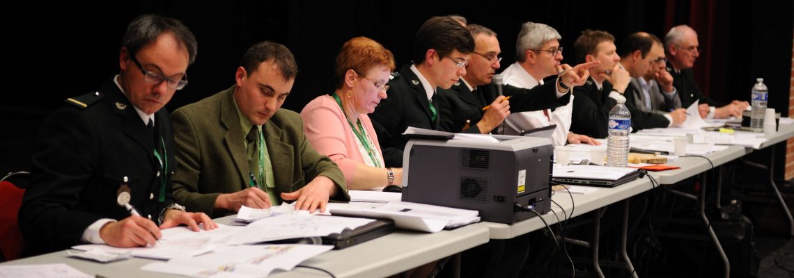 Adjudication du droit de chasse ONF
