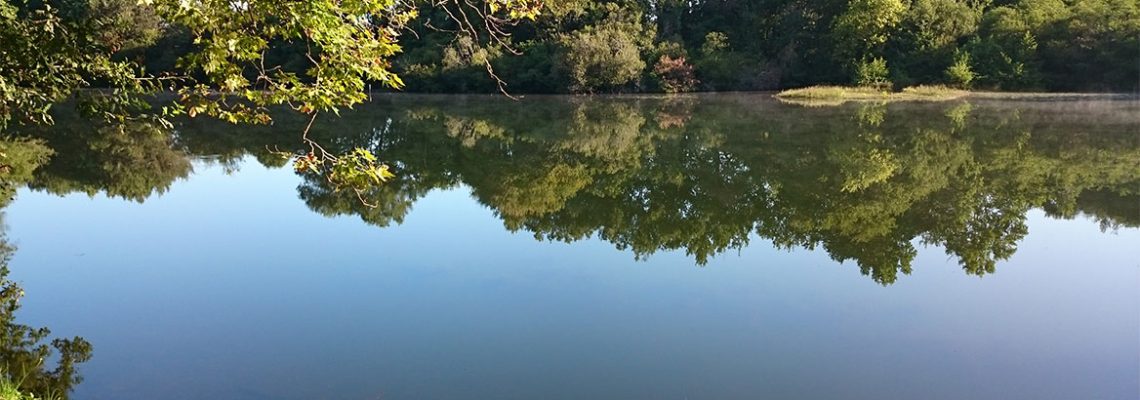 Adjudication baux de pêche onf 2018