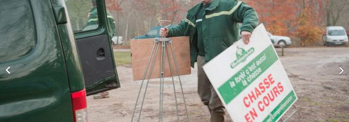 ADJUDICATIONS DU DROIT DE CHASSE EN FORÊTS DOMANIALES 2019