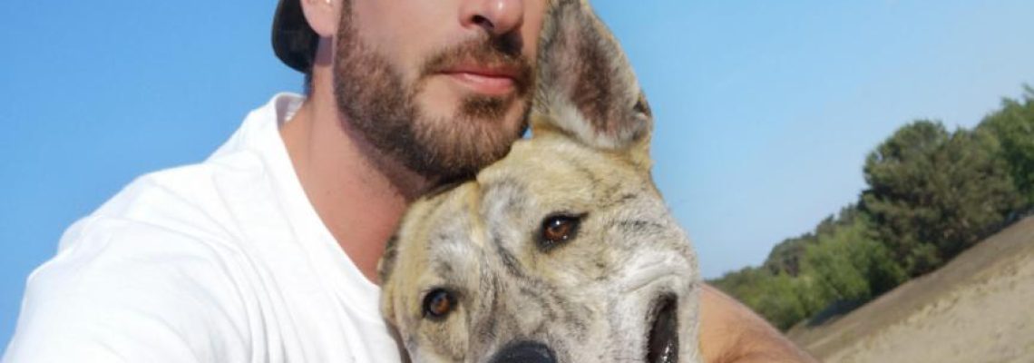 attaque-sanglier-chien