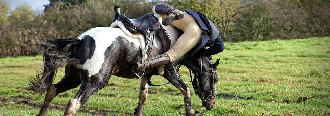 Une activiste anti-chasse condamnée par le tribunal