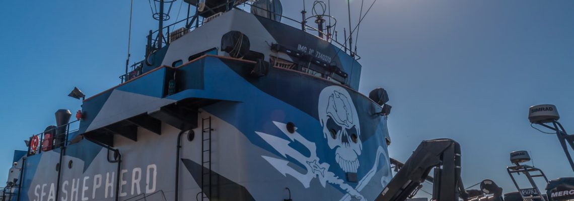 bateau-sea-shepherd