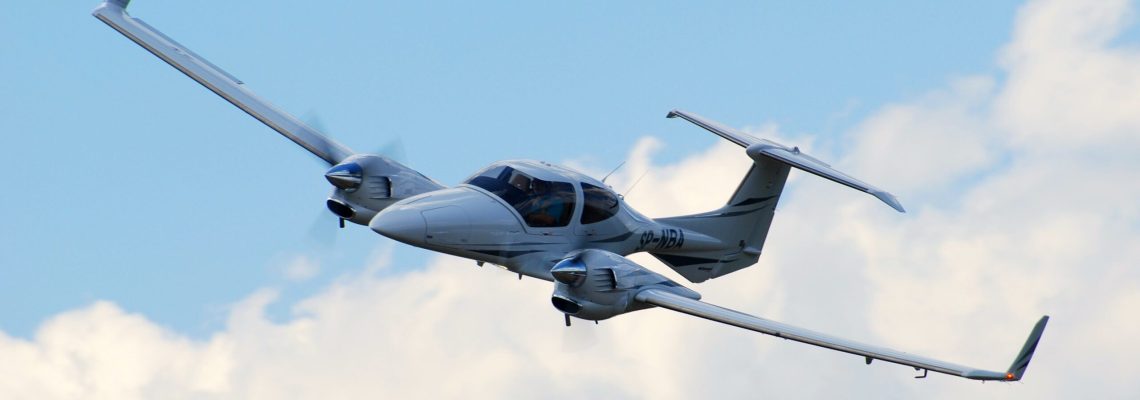 biche tuée par un avion Diamond DA42