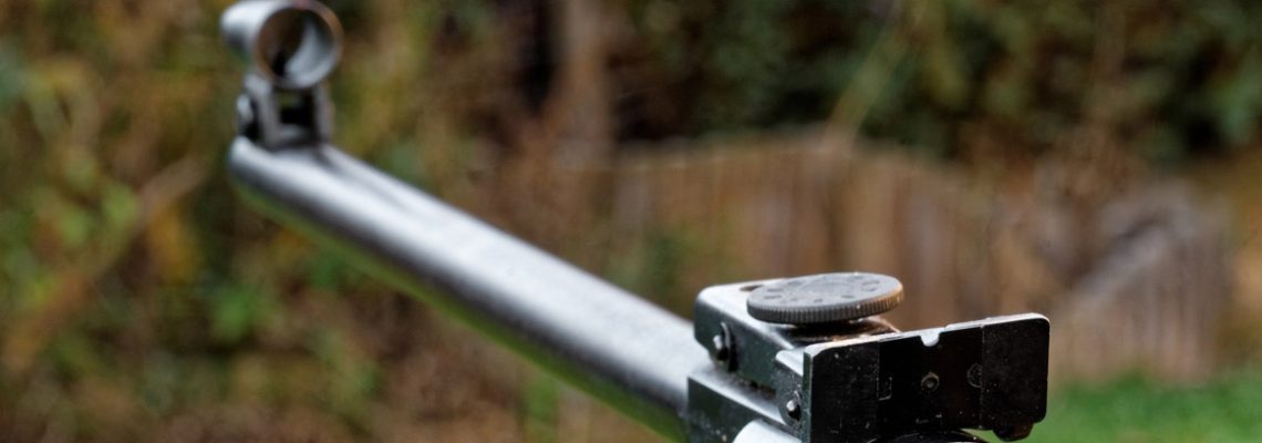Quelles sont les conditions pour acheter une carabine à plombs ?