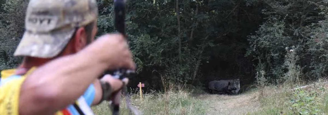 championnats de france de tir à l'arc 3d