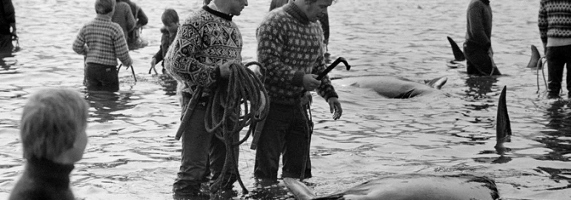 chasse-baleine