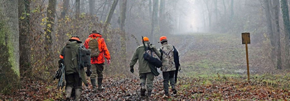 chasse-battue-234