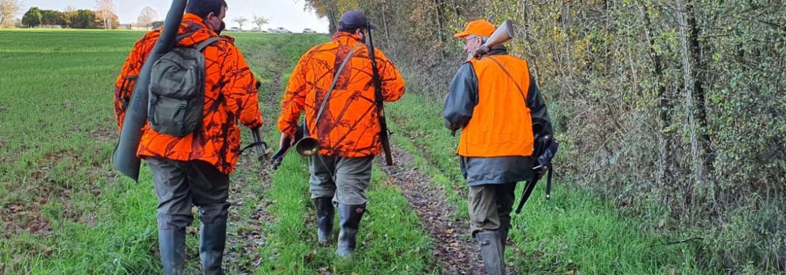 chasse-battue