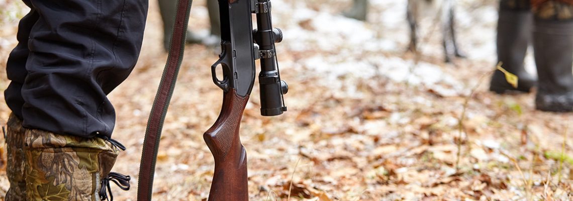 La chasse en battue