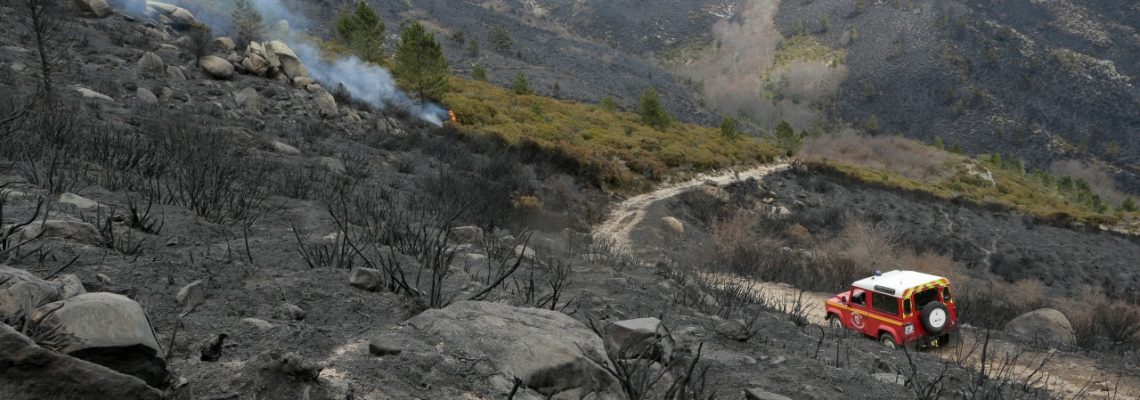 Zone incendiés en Corse, des écologistes souhaitent limiter la chasse aux abords