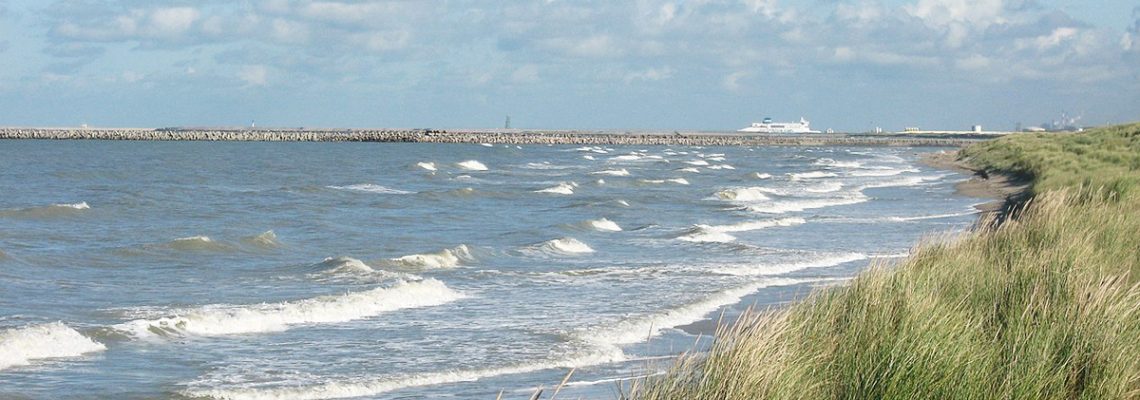 chasse littoral Pas de Calais