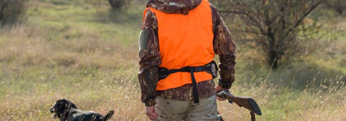 Permis de chasse : prix des redevances 2023 - 2024