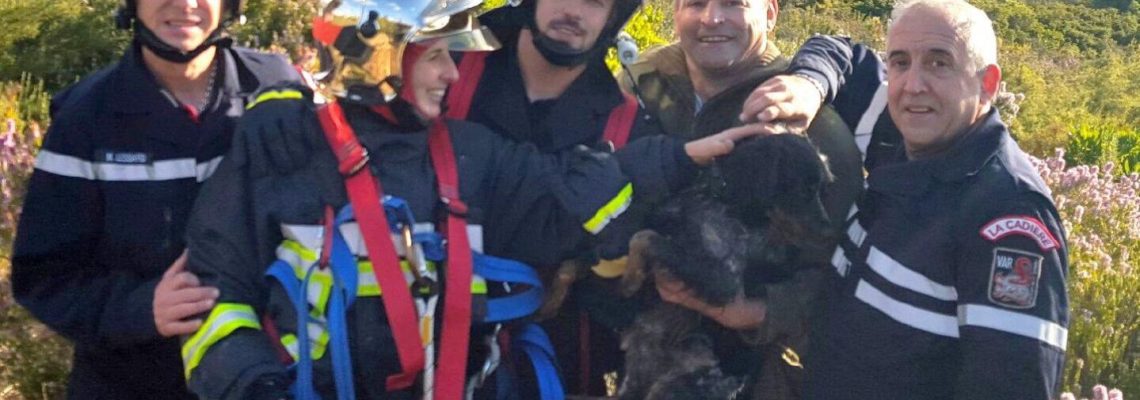 Samedi matin à Jas-de-Clare dans le Var un chien de chasse fut sauvé de la noyade par les pompiers.