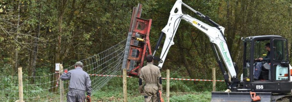Des clôtures pour lutter contre la PPA vandalisées
