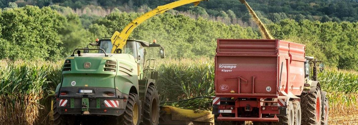 corn-8220529_1280